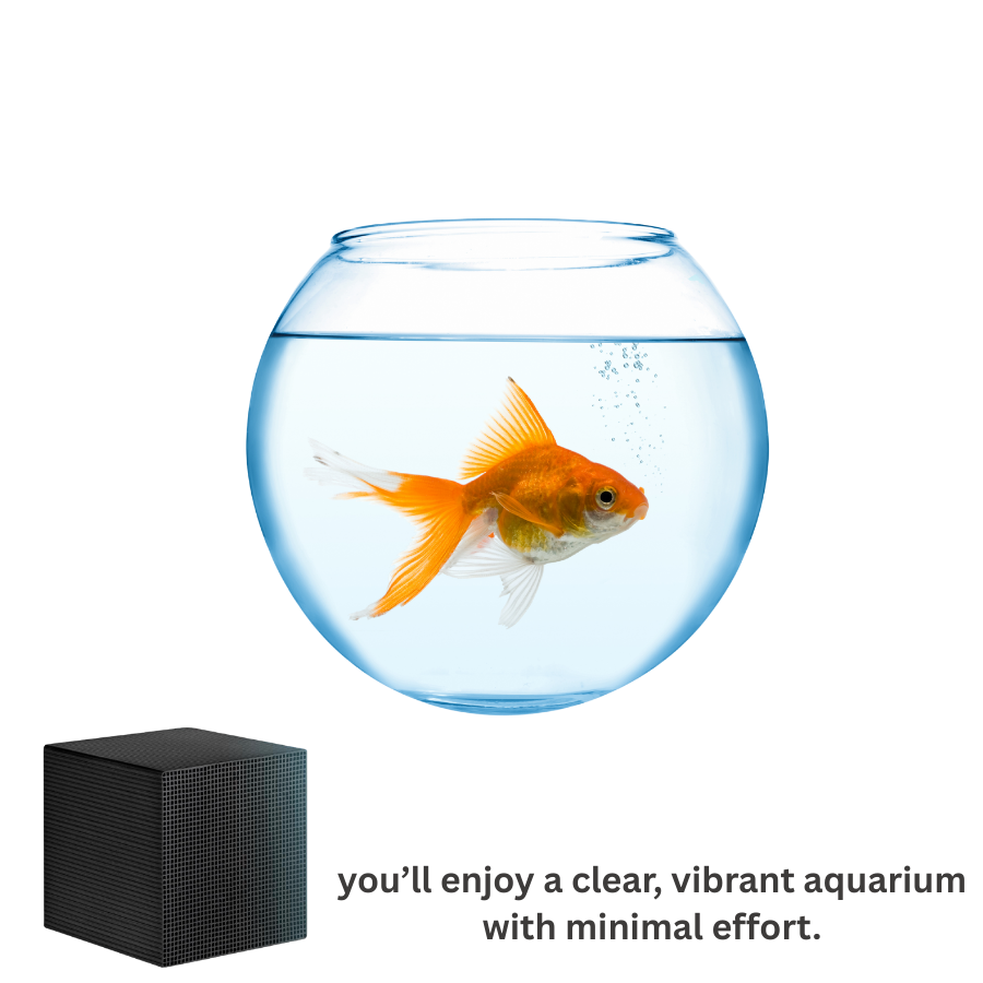 aquarium fish tank decorations