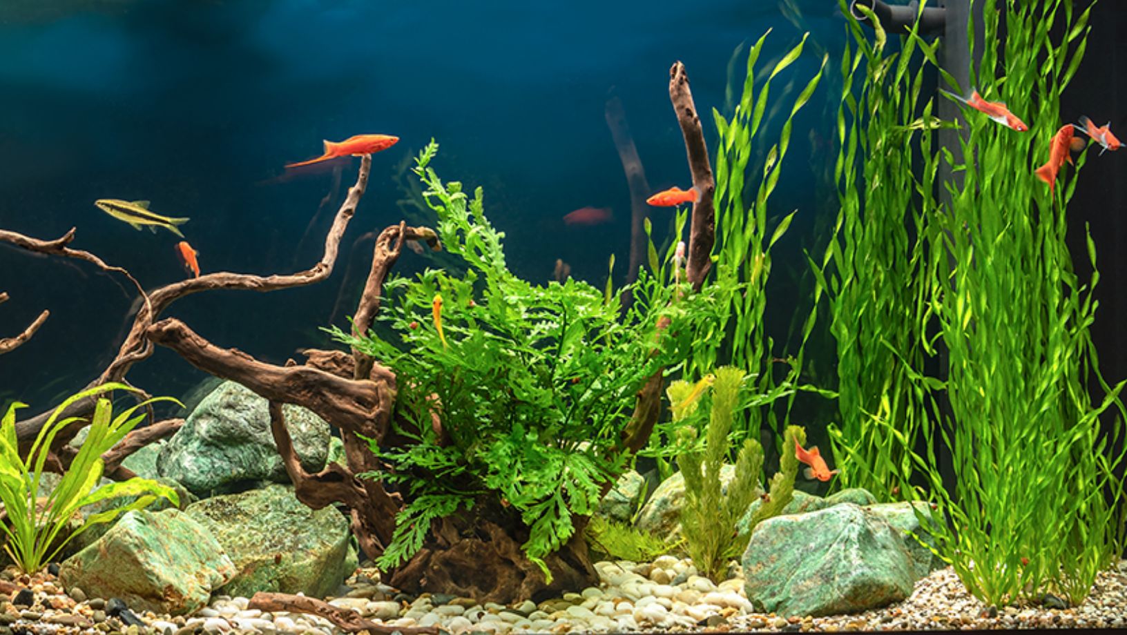 Aquarium fish tank decorations